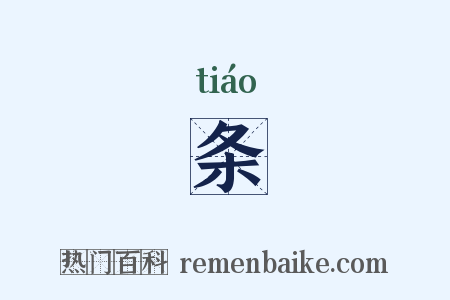 条是什么意思的图片